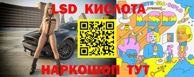 гашик Кимры
