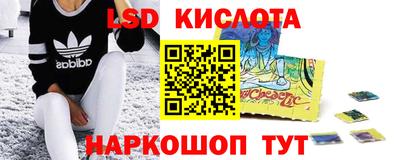 гашик Кимры