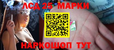гашик Кимры
