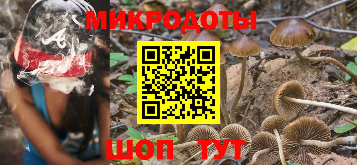 Галлюциногенные грибы Psilocybe Красноармейск