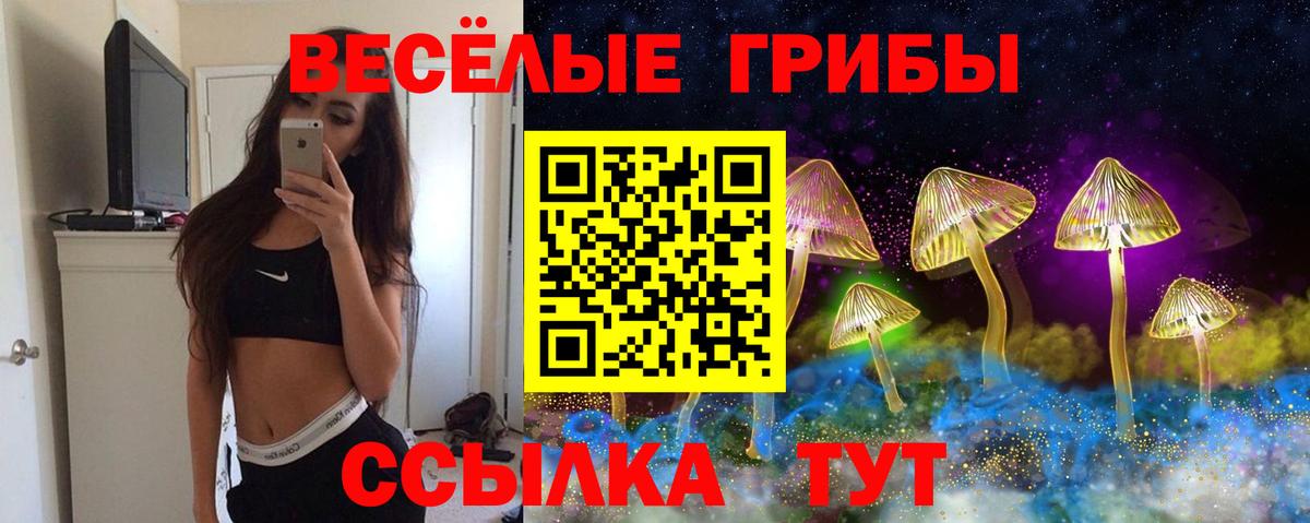 Красноармейск  Псилоцибиновые грибы Psilocybe  Вход с VPN 